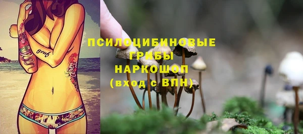 крисы Богданович