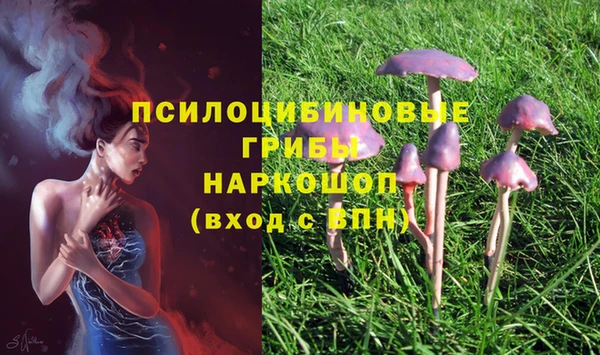 крисы Богданович