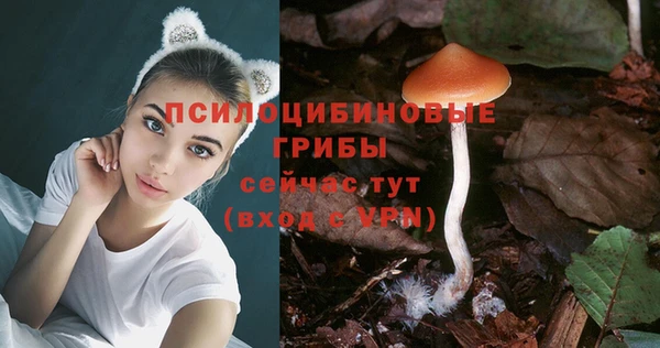 марки lsd Богородицк