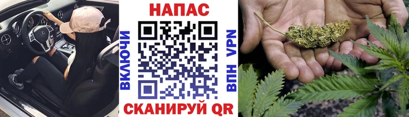 Конопля Bruce Banner  наркотики  Белый 